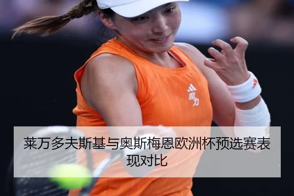 莱万多夫斯基与奥斯梅恩欧洲杯预选赛表现对比